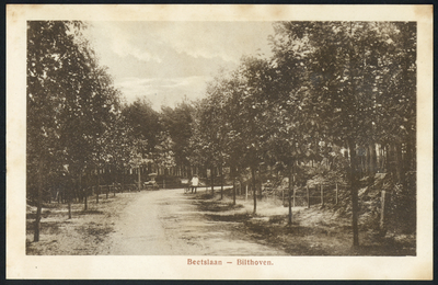 17119 Gezicht in de Beetslaan te Bilthoven (gemeente De Bilt).